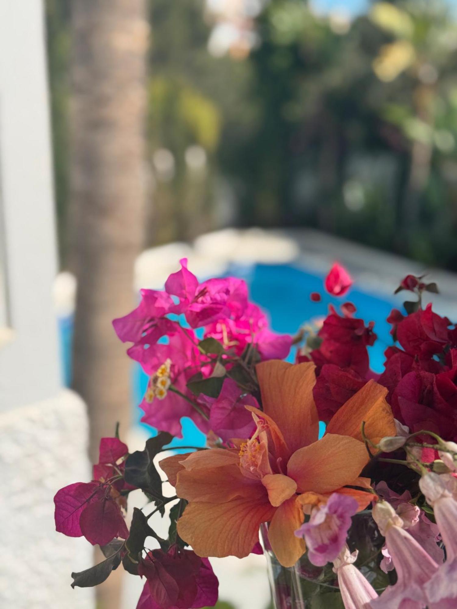Villa Nerja Εξωτερικό φωτογραφία